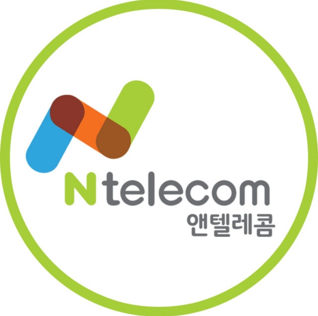 앤텔레콤 L망